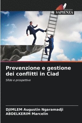 Prevenzione e gestione dei conflitti in Ciad 1