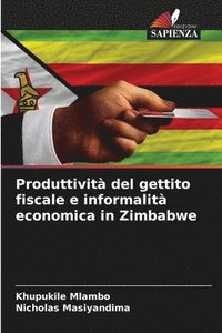 bokomslag Produttivit del gettito fiscale e informalit economica in Zimbabwe