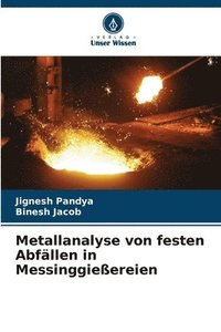 bokomslag Metallanalyse von festen Abfllen in Messinggieereien
