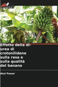 bokomslag Effetto della di-urea di crotonilidene sulla resa e sulla qualit del banano