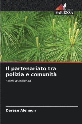 Il partenariato tra polizia e comunit 1