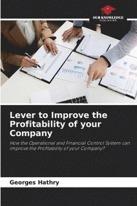 bokomslag Lever to Improve the Profitability of your Company