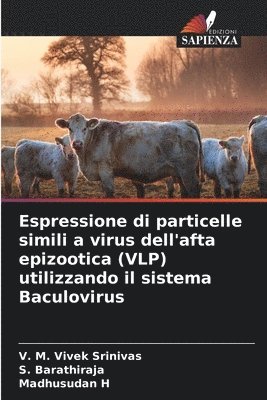 Espressione di particelle simili a virus dell'afta epizootica (VLP) utilizzando il sistema Baculovirus 1