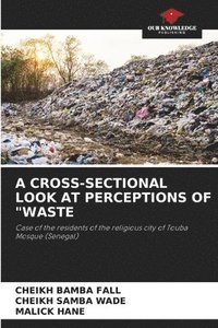 bokomslag A Cross-Sectional Look at Perceptions of &quot;Waste