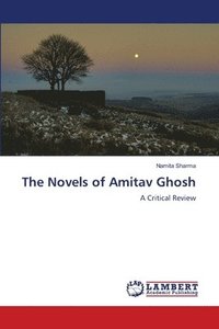 bokomslag The Novels of Amitav Ghosh
