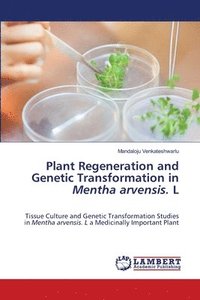 bokomslag Plant Regeneration and Genetic Transformation in Mentha arvensis. L