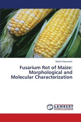 Fusarium Rot of Maize 1