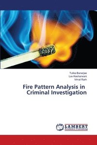 bokomslag Fire Pattern Analysis in Criminal Investigation