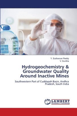 bokomslag Hydrogeochemistry & Groundwater Quality Around Inactive Mines