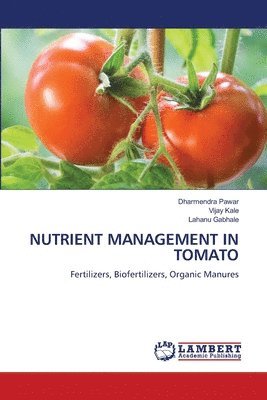 bokomslag Nutrient Management in Tomato