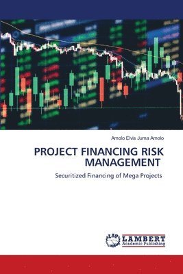 bokomslag Project Financing Risk Management