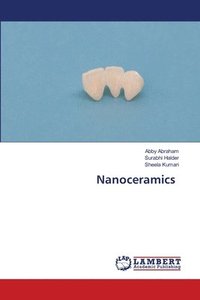bokomslag Nanoceramics
