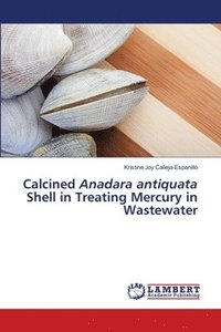 bokomslag Calcined Anadara antiquata Shell in Treating Mercury in Wastewater