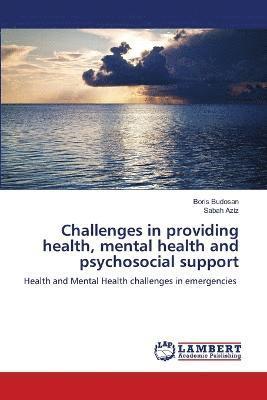 Challenges in providing health, mental health and psychosocial support 1