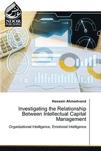 bokomslag Investigating the Relationship Between Intellectual Capital Management