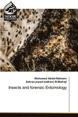 Insects and forensic Entomology 1