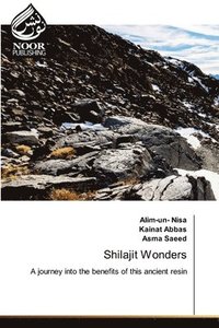 bokomslag Shilajit Wonders