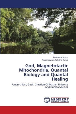 bokomslag God, Magnetotactic Mitochondria, Quantal Biology and Quantal Healing
