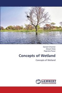 bokomslag Concepts of Wetland