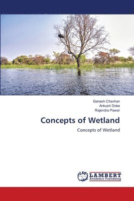 Concepts of Wetland 1