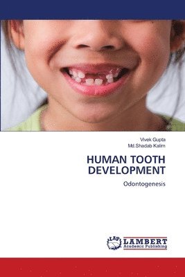 Human Tooth Development 1