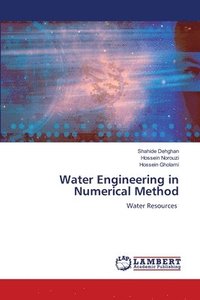 bokomslag Water Engineering in Numerical Method
