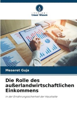 bokomslag Die Rolle des auerlandwirtschaftlichen Einkommens