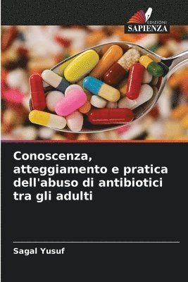 Conoscenza, atteggiamento e pratica dell'abuso di antibiotici tra gli adulti 1