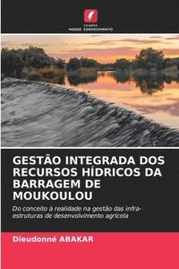 bokomslag Gesto Integrada DOS Recursos Hdricos Da Barragem de Moukoulou