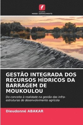 bokomslag Gesto Integrada DOS Recursos Hdricos Da Barragem de Moukoulou