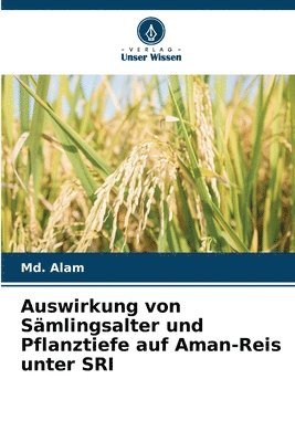 bokomslag Auswirkung von Smlingsalter und Pflanztiefe auf Aman-Reis unter SRI