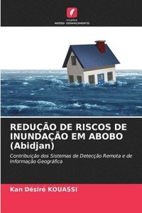 bokomslag REDUO DE RISCOS DE INUNDAO EM ABOBO (Abidjan)