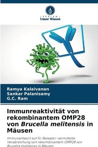 bokomslag Immunreaktivitt von rekombinantem OMP28 von Brucella melitensis in Musen