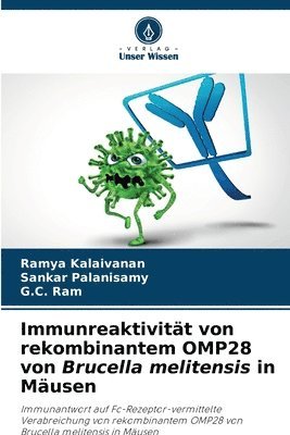 Ramya Kalaivanan, Sankar Palanisamy, G C Ram, G. C. Ram - Immunreaktivität von rekombinantem OMP28 von Brucella melitensis in Mäusen, Häftad
