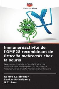 bokomslag Immunoractivit de l'OMP28 recombinant de Brucella melitensis chez la souris