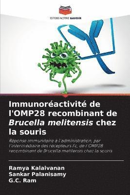 Immunoractivit de l'OMP28 recombinant de Brucella melitensis chez la souris 1