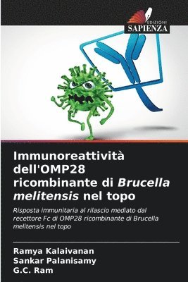 Immunoreattivit dell'OMP28 ricombinante di Brucella melitensis nel topo 1