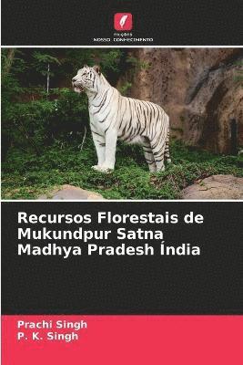 Recursos Florestais de Mukundpur Satna Madhya Pradesh India 1
