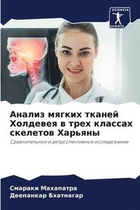 bokomslag &#1040;&#1085;&#1072;&#1083;&#1080;&#1079; &#1084;&#1103;&#1075;&#1082;&#1080;&#1093; &#1090;&#1082;&#1072;&#1085;&#1077;&#1081; &#1061;&#1086;&#1083;&#1076;&#1077;&#1074;&#1077;&#1103; &#1074;