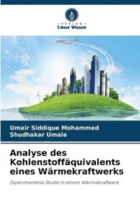 bokomslag Analyse des Kohlenstoffquivalents eines Wrmekraftwerks