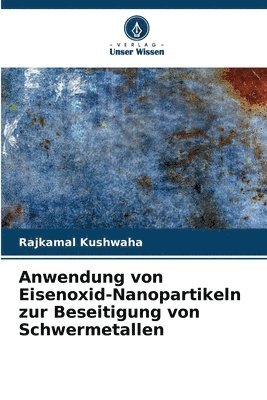 Anwendung von Eisenoxid-Nanopartikeln zur Beseitigung von Schwermetallen 1