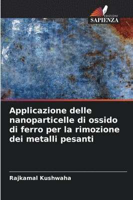 Applicazione delle nanoparticelle di ossido di ferro per la rimozione dei metalli pesanti 1