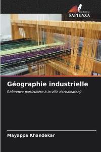 bokomslag Geographie industrielle