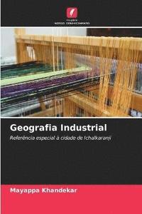 bokomslag Geografia Industrial