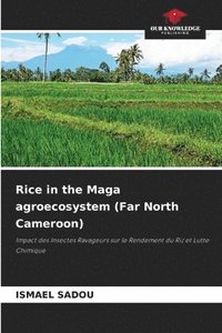 bokomslag Rice in the Maga agroecosystem (Far North Cameroon)