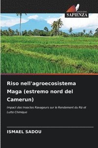 bokomslag Riso nell'agroecosistema Maga (estremo nord del Camerun)