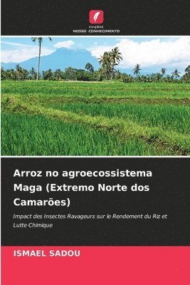 bokomslag Arroz no agroecossistema Maga (Extremo Norte dos Camaroes)
