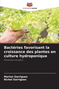 bokomslag Bactries favorisant la croissance des plantes en culture hydroponique