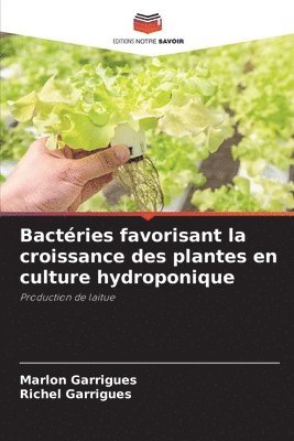 Bactries favorisant la croissance des plantes en culture hydroponique 1