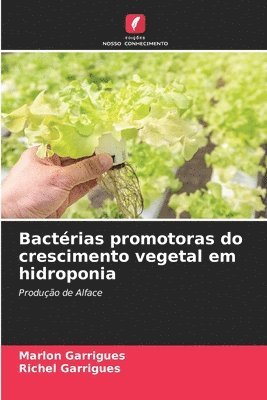 Bactrias promotoras do crescimento vegetal em hidroponia 1